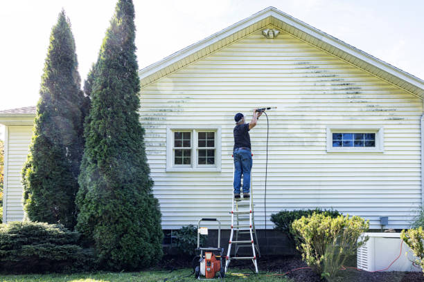 Best House Exterior Washing  in Dortches, NC