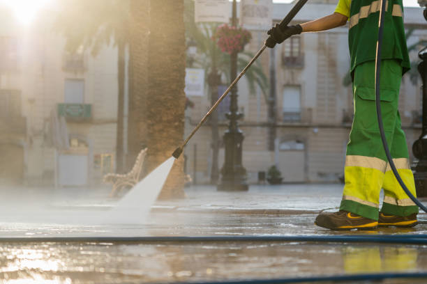 Best Gutter Cleaning  in Dortches, NC